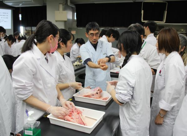 071210 理数イベント　ブタの脳 (45).JPG